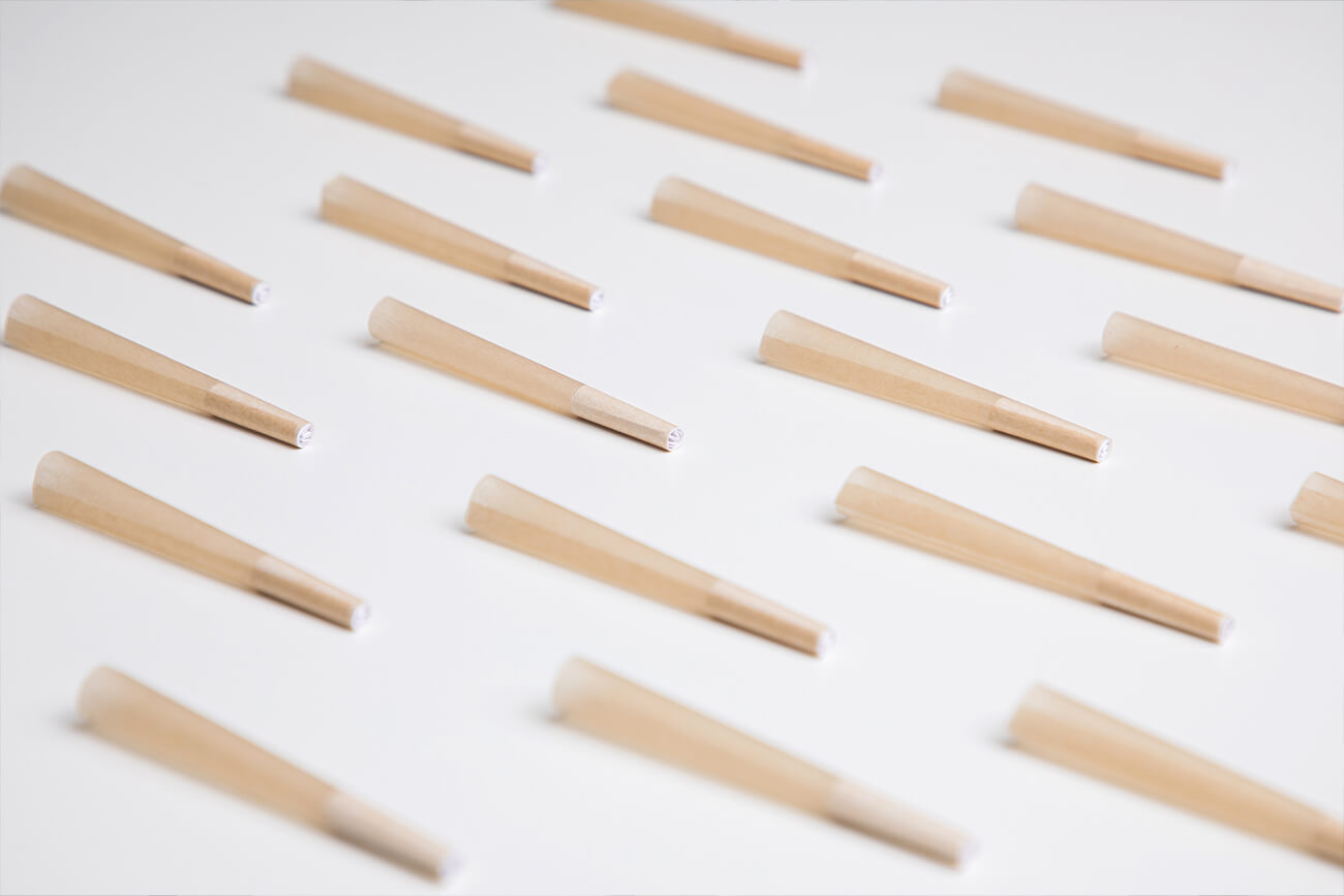 Bleached cones Bleached cones