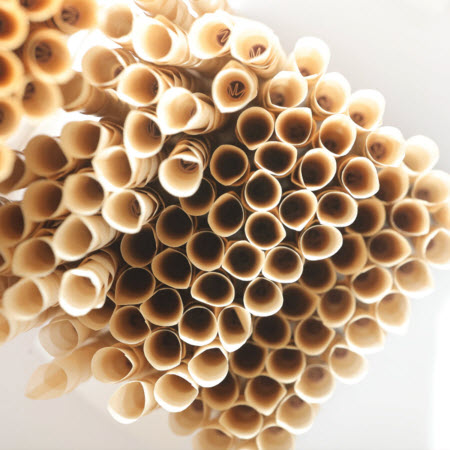Advantages of Pre-Roll Cones from India